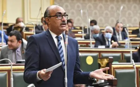 النائب إيهاب منصور: 5 أنواع من الأسر و8 حالات مستحقة لدعم تكافل وكرامة بقانون الضمان الاجتماعي