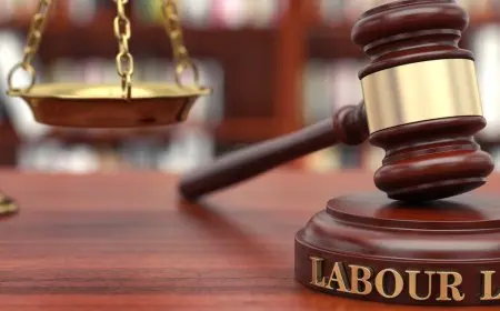 قانون العمل الجديد.. تفاصيل حقوق وواجبات العامل المصري