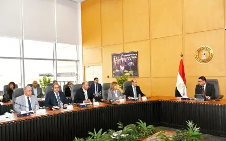وزير الإسكان يعقد اجتماعاً لمتابعة موقف تنفيذ مشروع حديقة تلال الفسطاط