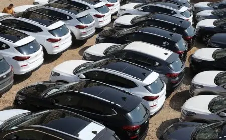 الوزراء: مصادرة سيارات ذوي الهمم المخالفة وتحصيل نحو 2.4 مليار جنيه من غير المستحقين