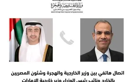 وزير الخارجية يناقش مع نظيره الإماراتي تطورات الأوضاع في سوريا