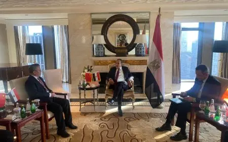 وزير الخارجية يلتقي بالرئيس التنفيذي لـ”شركة صناعة الطيران الصينية المحدودة” (AVIC)