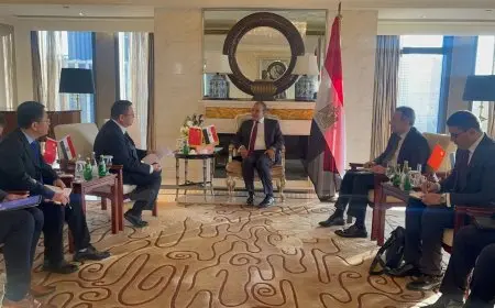 وزير الخارجية يلتقي بنائب رئيس شركة “جريت وول” الصينية لصناعة السيارات