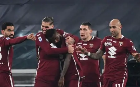 تورينو يهزم إمبولي بهدف نظيف في الدوري الإيطالي