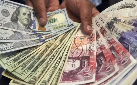 أسعار العملات اليوم في السوق السوداء في مصر الاحد 29 ديسمبر 2024 سعر العملات في البنك المركزى