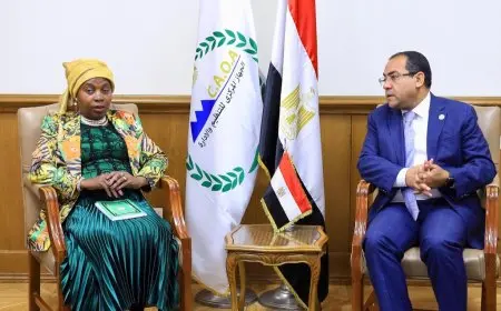 صالح الشيخ: مصر وضعت خطة الإصلاح الإداري في 5 محاور منذ 2014