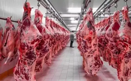 خريطة الأسعار اليوم: ارتفاع اللحوم وانخفاض الحديد والذهب يواصل الصعود