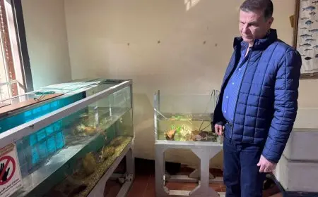 وزير الزراعة يتفقد حديقة الأسماك بالزمالك.. ويوجه بتطويرها وتوفير سبل الراحة للزائرين