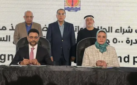 مدبولي: الاستراتيجية الوطنية للطاقة ترتكز على ضرورة الاعتماد على مصادر الطاقة المتجددة