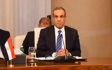 وزير الخارجية يؤكد رفض مصر الكامل لتوغل إسرائيل داخل المنطقة العازلة مع سوريا