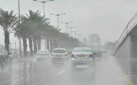 الأرصاد: الشبورة المائية تزداد مع انخفاض درجات الحرارة قبيل قدوم الشتاء