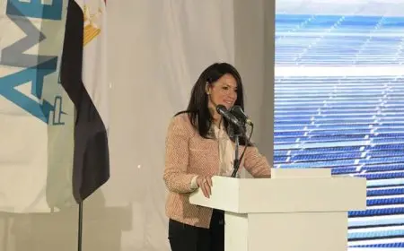 المشاط: تدشين محطات طاقة متجددة بقدرة 10 جيجاوات ضمن برنامج نوفي حتى 2028