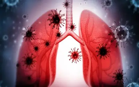 هيجان وإثارة.. حقيقة انتشار فيروسات مجهولة تصيب الجهاز التنفسي