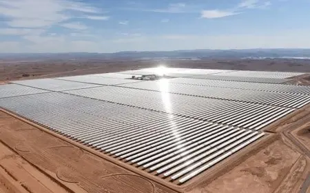 الحكومة: محطة أبيدوس نفذت بأياد مصرية بنسبة 95% على المستوى الإداري و100% من الأيدي العاملة