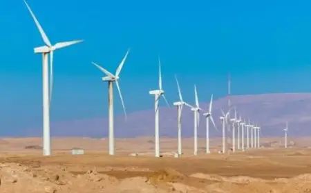 الحكومة: محطة طاقة الرياح بخليج السويس تدخل الخدمة في سبتمبر 2028