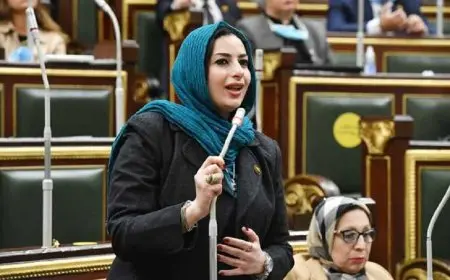 النائبة آيات الحداد: قانون الحماية الاجتماعية الجديد يشمل فئات جديدة من النساء لأول مرة