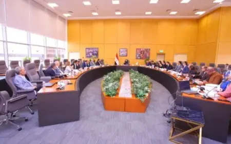 وزيرة التضامن تترأس الاجتماع الأول لمجلس إدارة صندوق دعم مشروعات الجمعيات والمؤسسات الأهلية