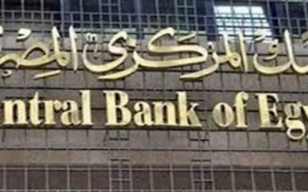 طفرة في محافظ البنوك لتمويل المشروعات متناهية الصغر والصغيرة والمتوسطة