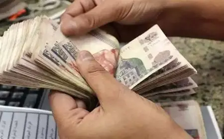 بشرى سارة.. الهيئة القومية للتأمين الاجتماعي زيادة معاشات شهر يناير 2025