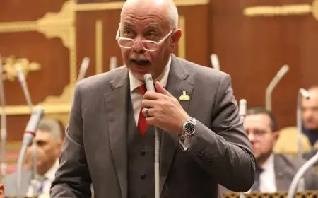 النائب حازم الجندي: القيادة السياسية تواصل ترسيخ حقوق الإنسان كمسار استراتيجي شامل