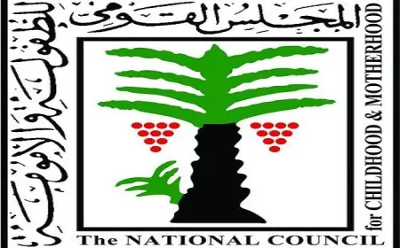 “الطفولة والأمومة” يبلغ النائب العام في واقعة استغلال طفل في فيديو إباحي للحصول على أرباح مالية