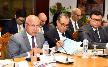 وزير الخارجية يترأس اجتماع اللجنة العُليا للهجرة