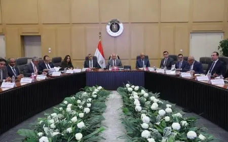 250 مليون دولار لتطوير شركة مصر للألومنيوم علي مدار 5 سنوات