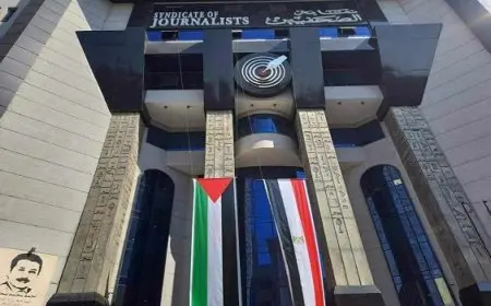 المؤتمر العام السادس لنقابة الصحفيين.. النائبة أميرة صابر تطالب بسن قانون يضمن حرية تداول المعلومات