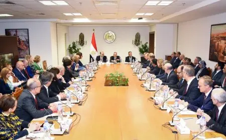 وزير الخارجية والهجرة يلتقي السفراء الأوروبيين المعتمدين في مصر