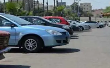 من السايس لـ القمامة.. كيف نجحت الحكومة في إدارة العشوائية في الشوارع؟