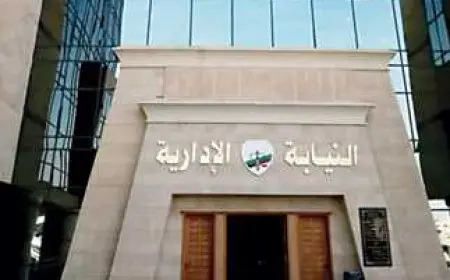 النيابة الإدارية تنجح في تمكين شركة دولية من استمرار ممارسة نشاطها وتنقذ 2000 عامل من فقدان عملهم