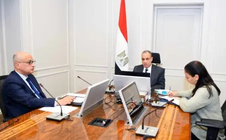 وزير الخارجية والهجرة يجتمع مع وكيل سكرتير عام الأمم المتحدة للشئون الإنسانية ومنسق الإغاثة الإنسانية الطارئة