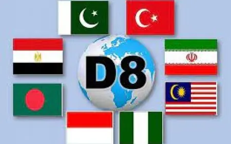 وزير الخارجية يشارك بعد غد في الاجتماع الـ 21 لمجلس وزراء خارجية مجموعة الثماني