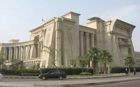 إلغاء قيمة الضريبة على توريد الكهرباء.. تفاصيل حكم الدستورية العليا