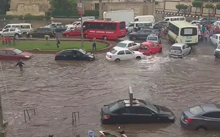 حالة الطقس اليوم.. تغيرات مفاجئة وموجة برد تضرب المحافظات