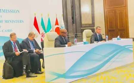 برئاسة مصر.. بدء اجتماعات التحضير لقمة الثمانى بالقاهرة.. وتأييد كامل للمبادرات المصرية