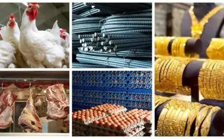 خريطة الأسعار اليوم: انخفاض اللحوم والبيض وارتفاع الدواجن والجمبري