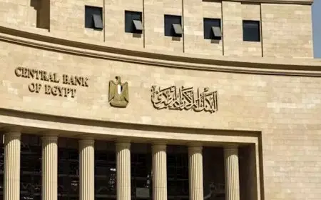 شهادات وودائع وأذون خزانة.. ما أفضل الخيارات لاستثمار أموالك بالبنوك؟