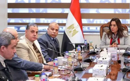 وزيرة التنمية المحلية تعقد اجتماعا لمتابعة الموقف التنفيذي لتطوير المجازر على مستوى الجمهورية