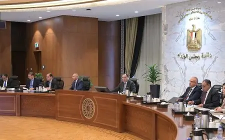 مدبولي يوجه بتشكيل مجموعة عمل للبدء في تنفيذ مقترح الصفقات المتكافئة مع الدول الإفريقية