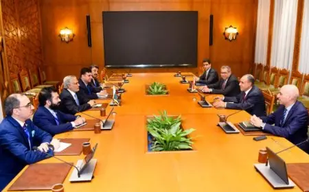 وزير الخارجية والهجرة يلتقي بنائب رئيس وزراء ووزير خارجية باكستان