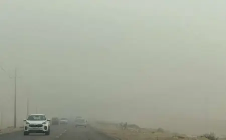 الأرصاد تكشف تفاصيل طقس اليوم.. شبورة كثيفة بهذه المناطق