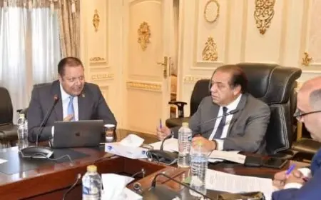 رئيس هيئة الاعتماد والرقابة الصحية يبحث آليات توسيع الشراكات بين مصر والدول الأفريقية