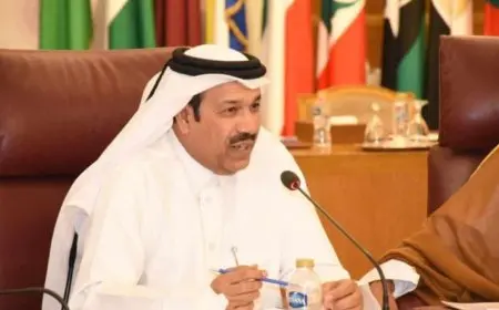 رئيس لجنة الميثاق العربي لحقوق الإنسان: أطالب بوقفة لوضع حد للانتهاكات الإسرائيلية في غزة وسوريا