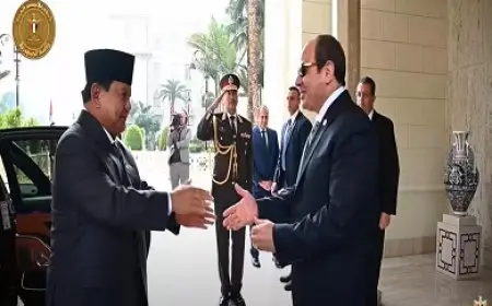 بث مباشر.. الرئيس السيسي يستقبل نظيره الإندونيسي بقصر الاتحادية