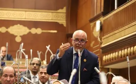 النائب حازم الجندي يقترح تفعيل تقنيات الدفع الإلكتروني ضمن مبادرة أسواق اليوم الواحد