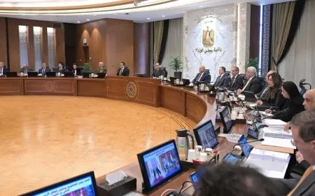 مجلس الوزراء يوافق على تشكيل مجلس التنسيق الأعلى المصري السعودي.. تفاصيل