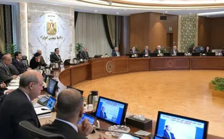 مجلس الوزراء يوافق على 8 قرارات خلال اجتماع الأسبوعي.. تفاصيل