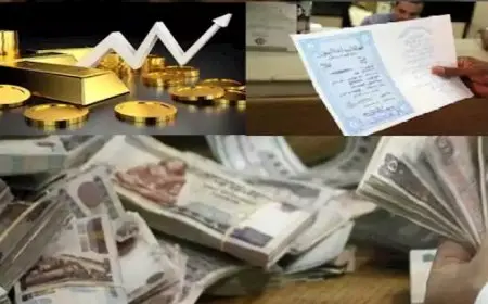 عقارات أم ذهب أم بورصة أم شهادات.. من الحصان الرابح خلال 2024؟