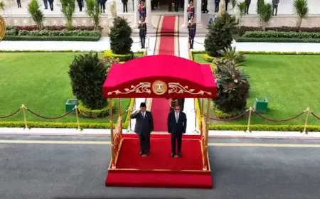 السيسي ونظيره الإندونيسي: يجب احترام حقوق الشعب الفلسطيني في إقامة دولته المستقلة